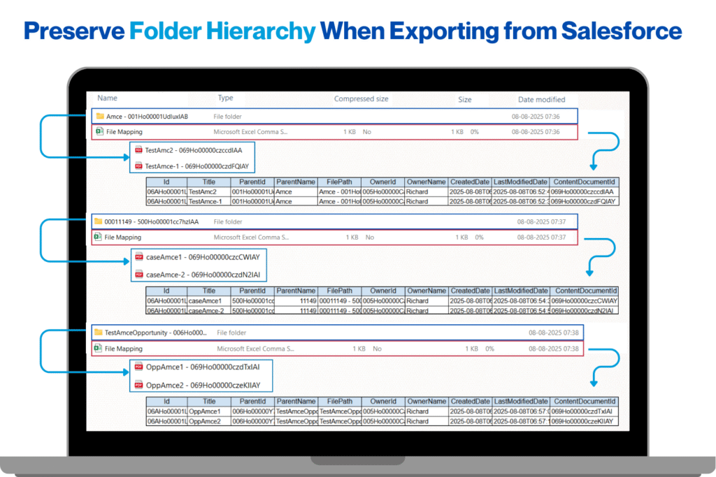 files-downloader-data-export-from-salesforce