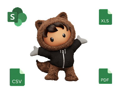 files-downloader-fast-export-salesforce-flies