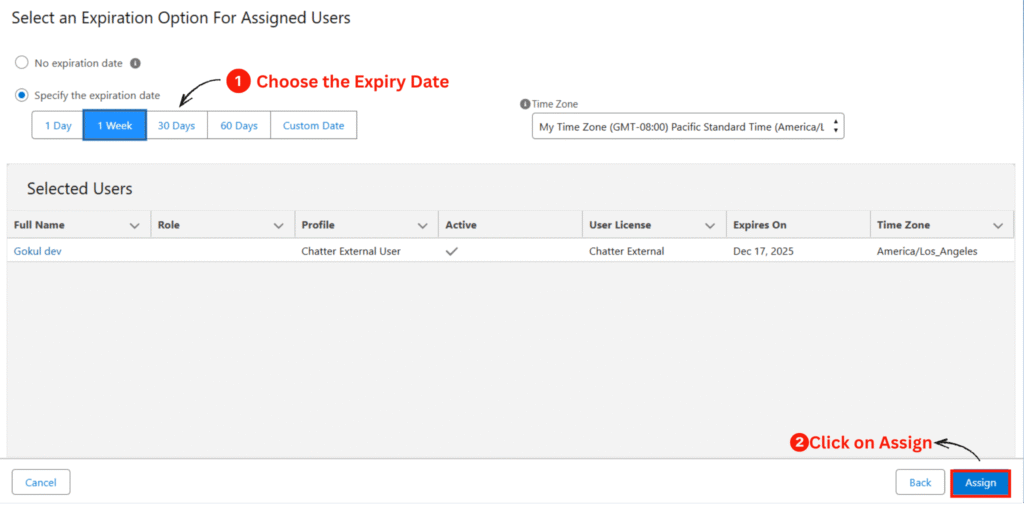 files-downloader-permission-sets-assigned