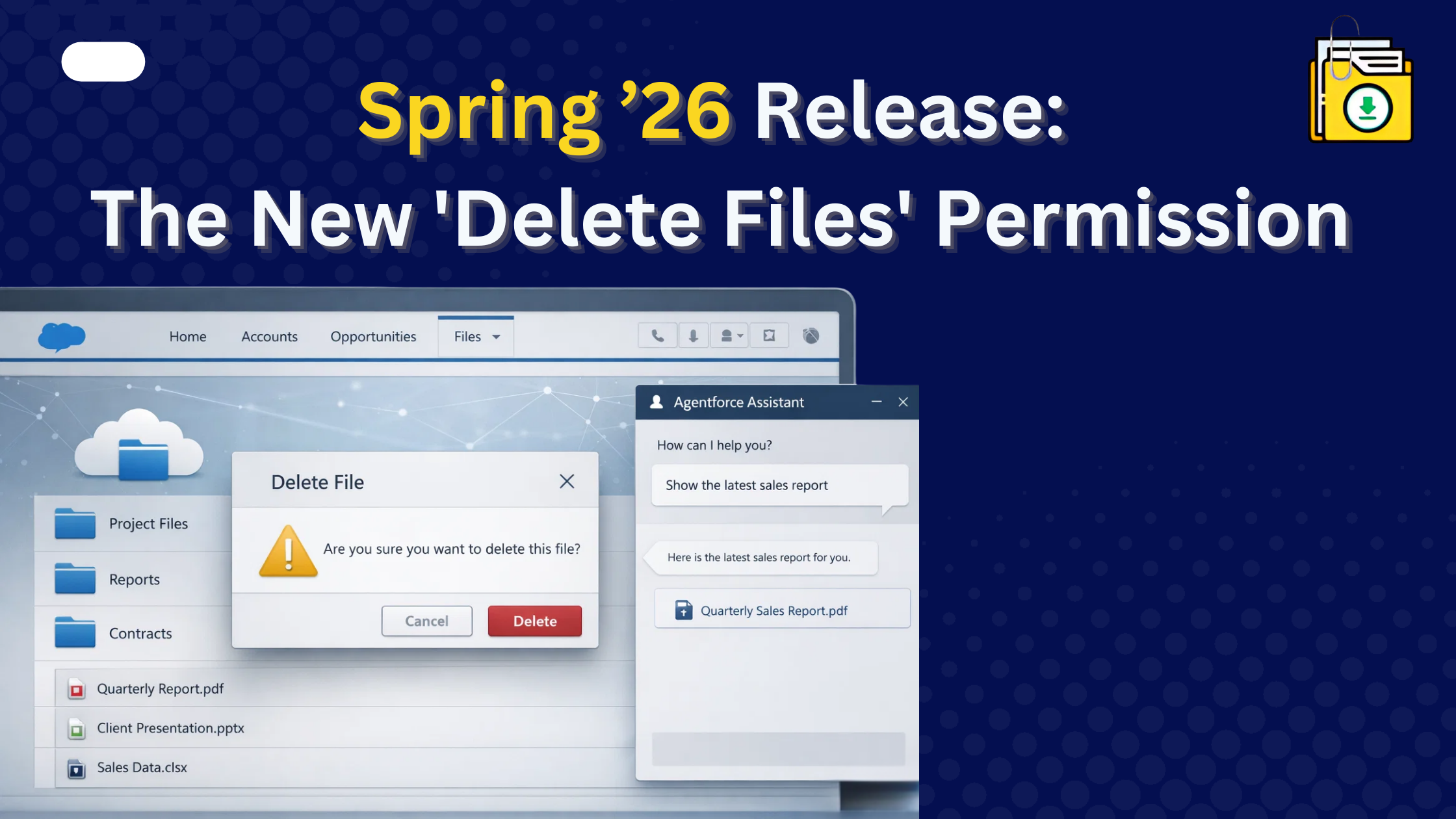 Salesforce Spring '26 file deletion